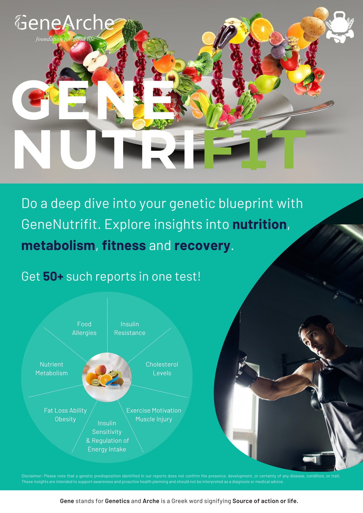 Promotional flyer for GeneNutrifit by GeneArche, featuring a colorful plate of fresh fruits and vegetables, a teal infographic about nutrition and metabolism, and a circular photo of a man holding a phone.
