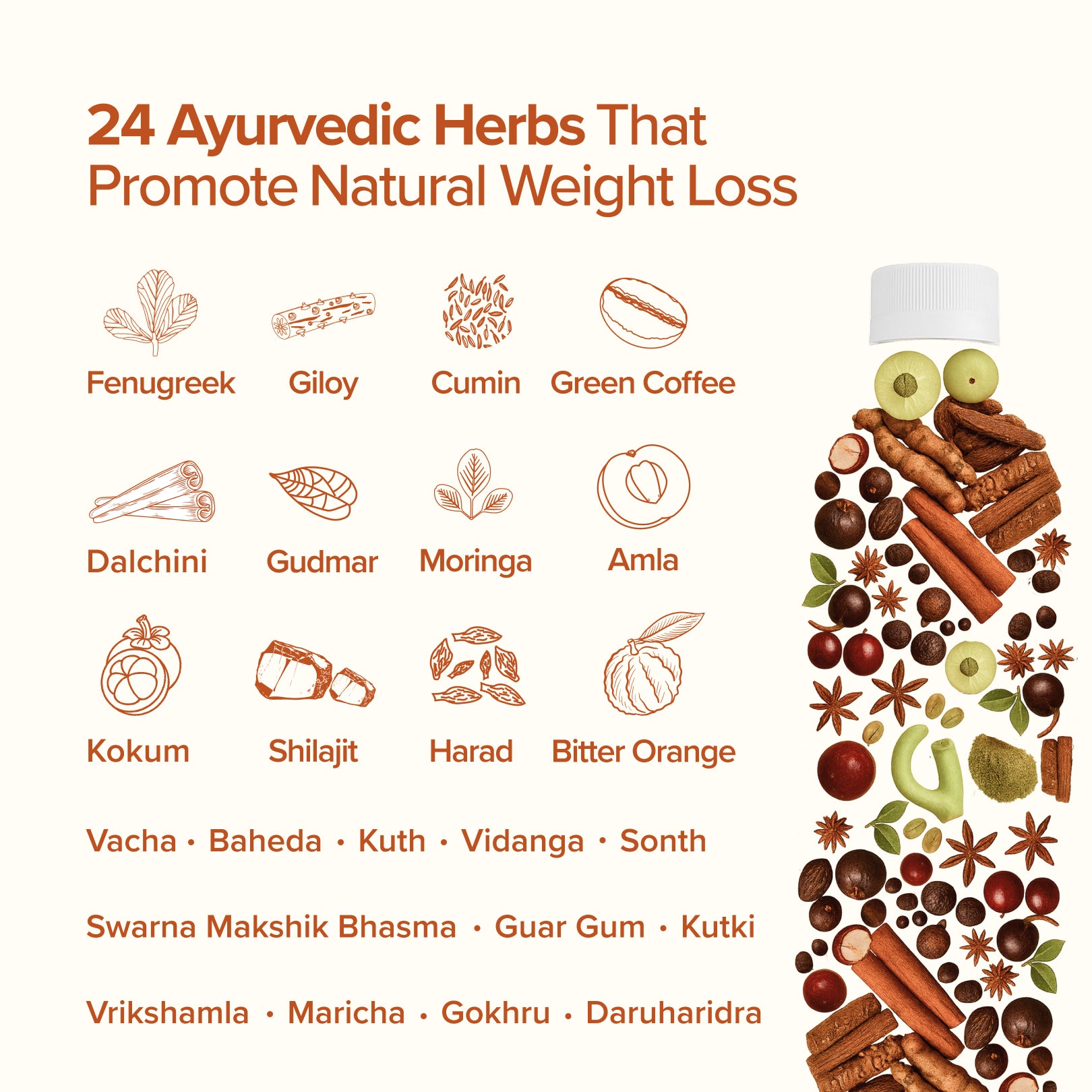 Illustration of 24 Ayurvedic herbs promoting natural weight loss with corresponding icons and names.
