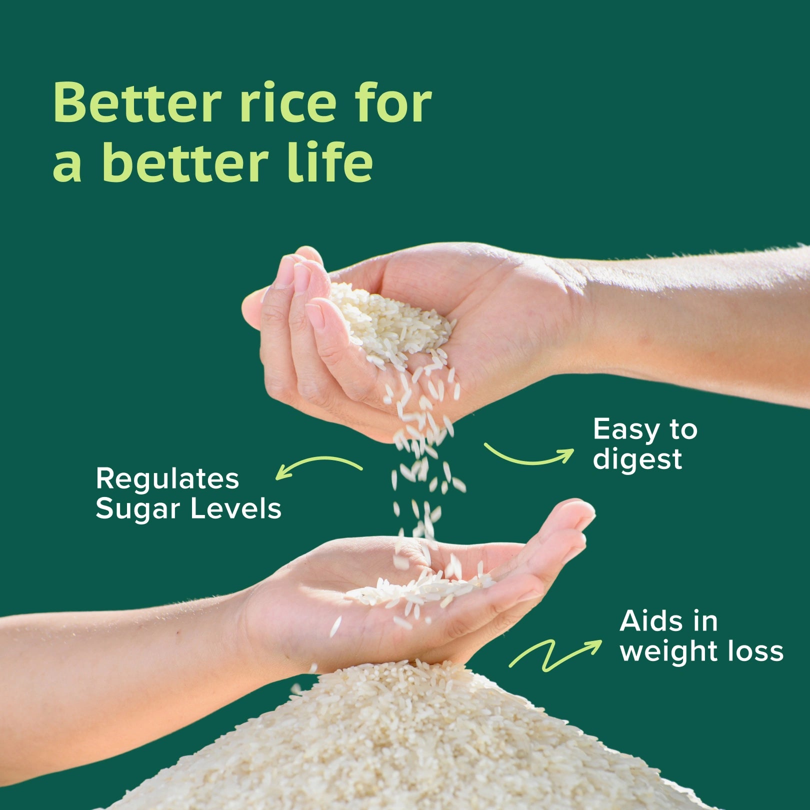 GudSwap by BeatO Rice (1kg) | Low GI 51 | Diabetes-Friendly | Easy to Digest | High Fibre | Non-GMO | No Pesticides