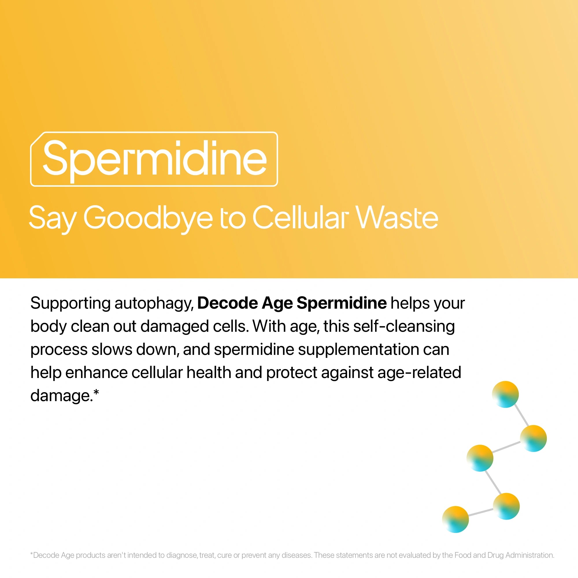 Advertisement for Spermidine with text about cellular waste and autophagy on a yellow background.