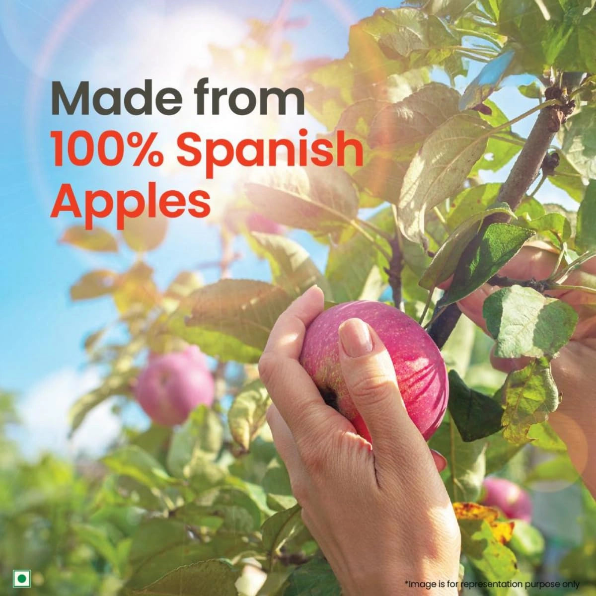 OrganicIndia_ACVImg3