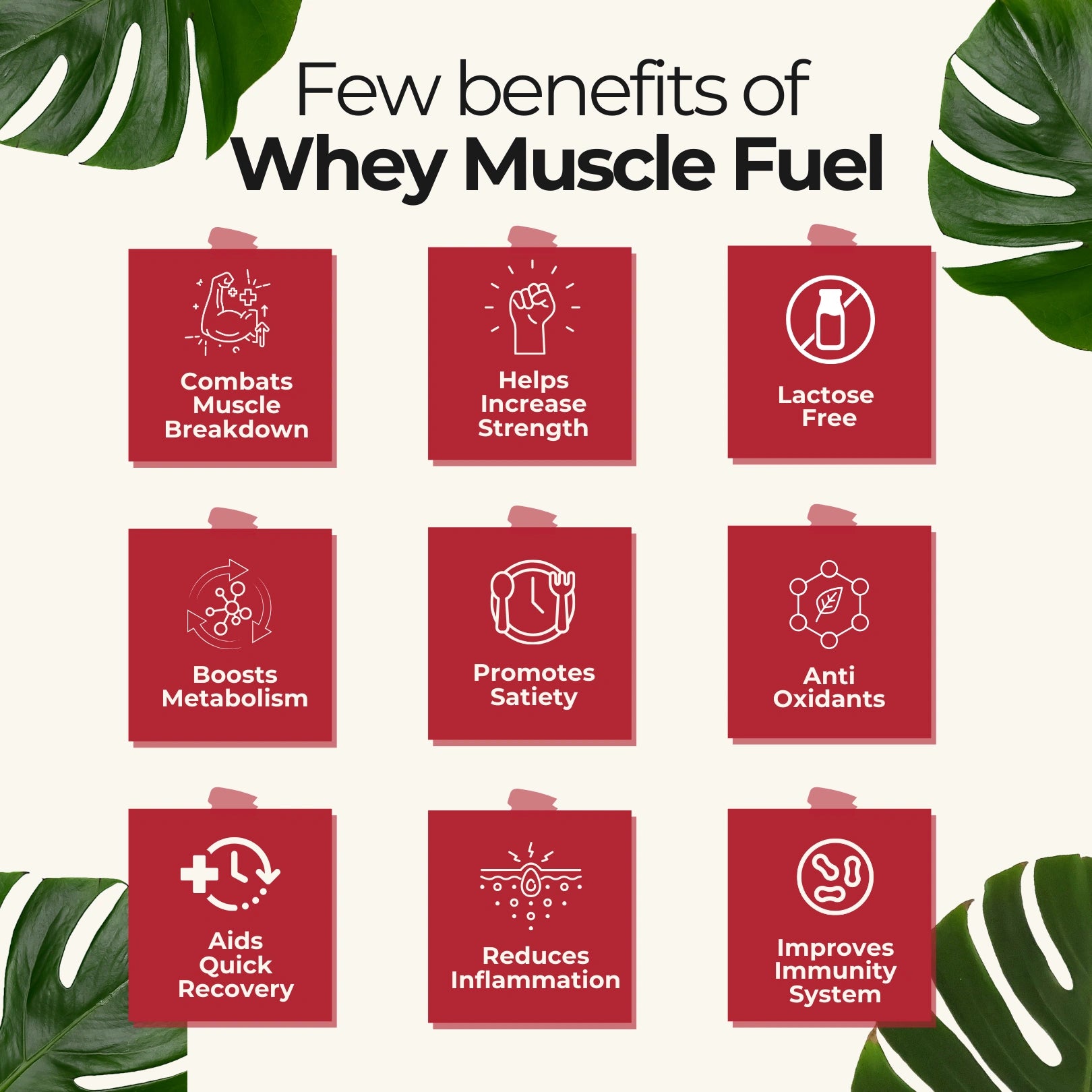 Hidden Hungr Whey Protein Muscle Fuel