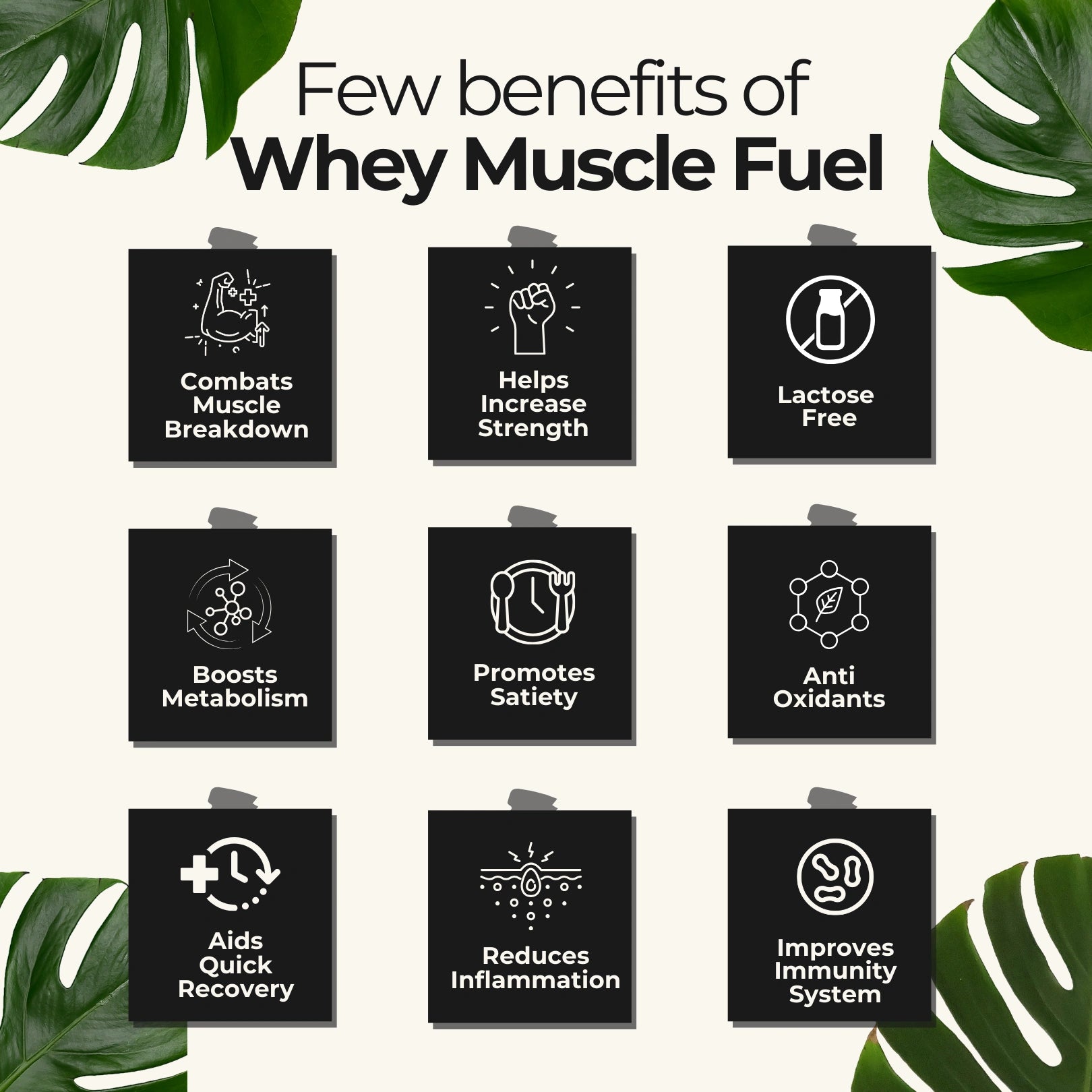 Hidden Hungr Whey Protein Muscle Fuel