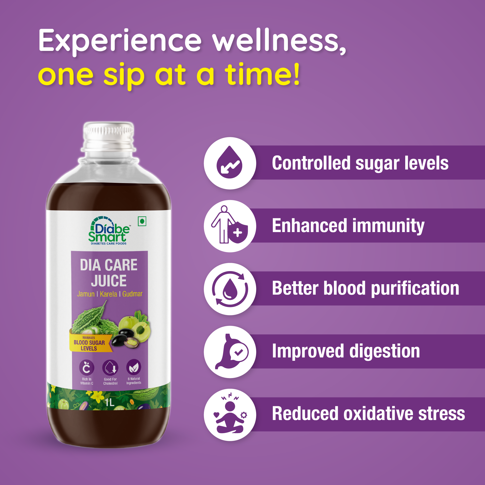 DiabeSmart Diabe Care Juice 1L | Karela Jamun Gurmar Amla Aloe Vera & More Juice for Diabetes