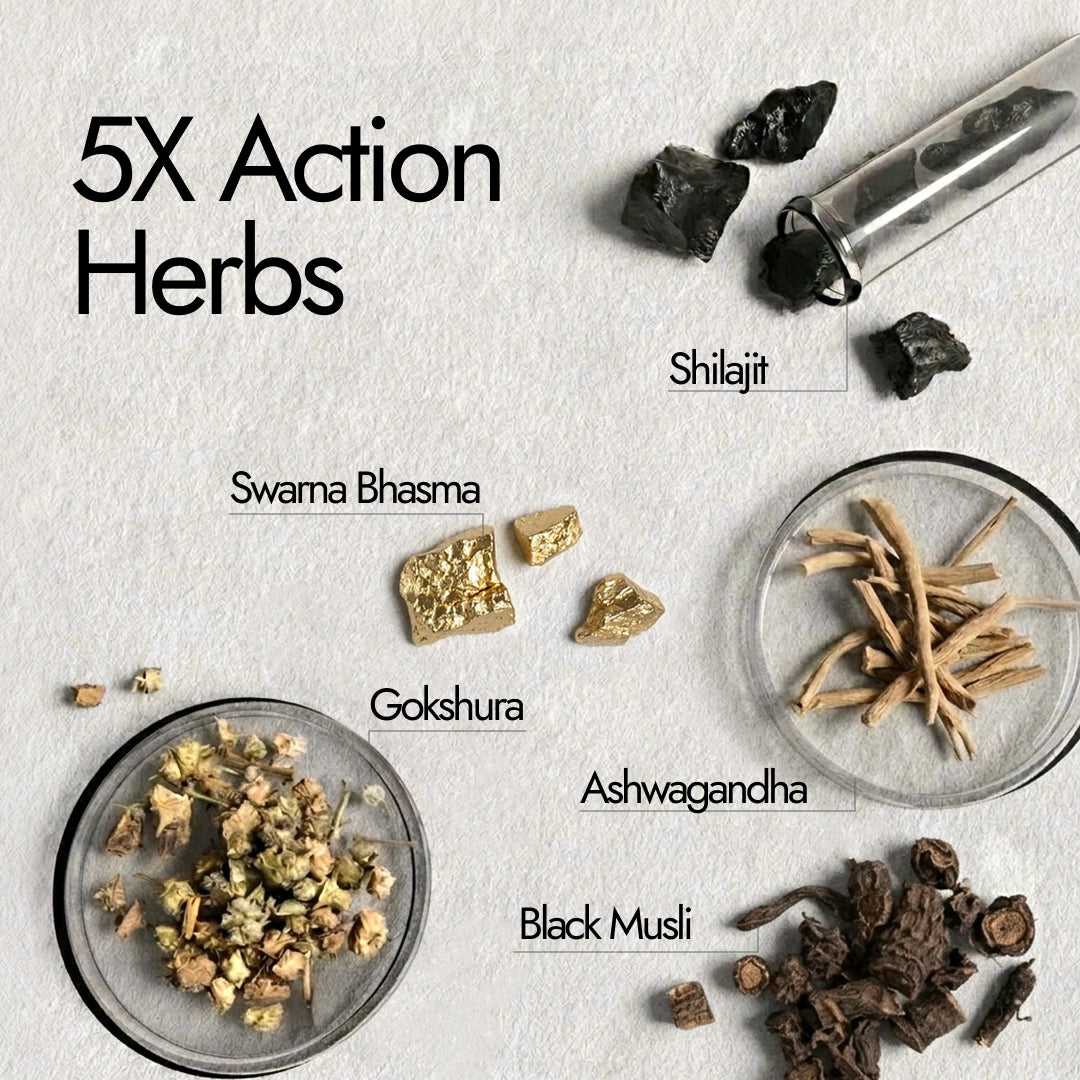 Herbal ingredients including Shilajit, Swama Bhasma, Gokshura, Ashwagandha, and Black Musli on a light background with text indicating '5X Action Herbs'.