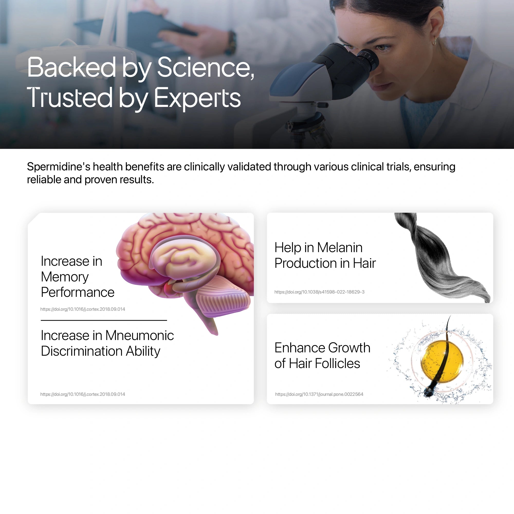 Advertisement for Spermidine with scientific claims and images of a brain and hair follicle.