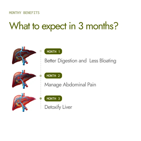 Diagram of liver with monthly benefits for digestion, abdominal pain, and liver detoxification on a white background.