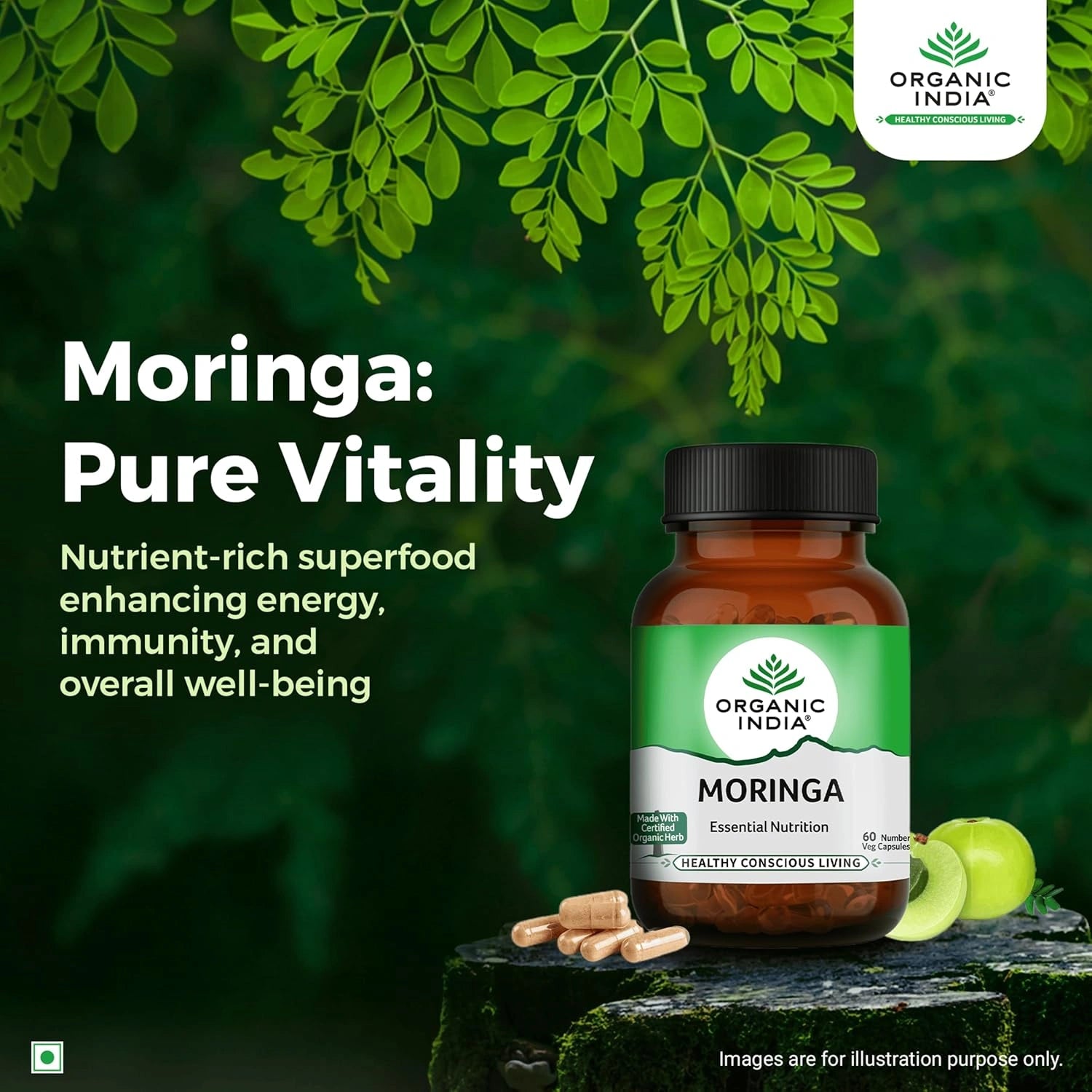 OrganicIndiaMoringa_Img2