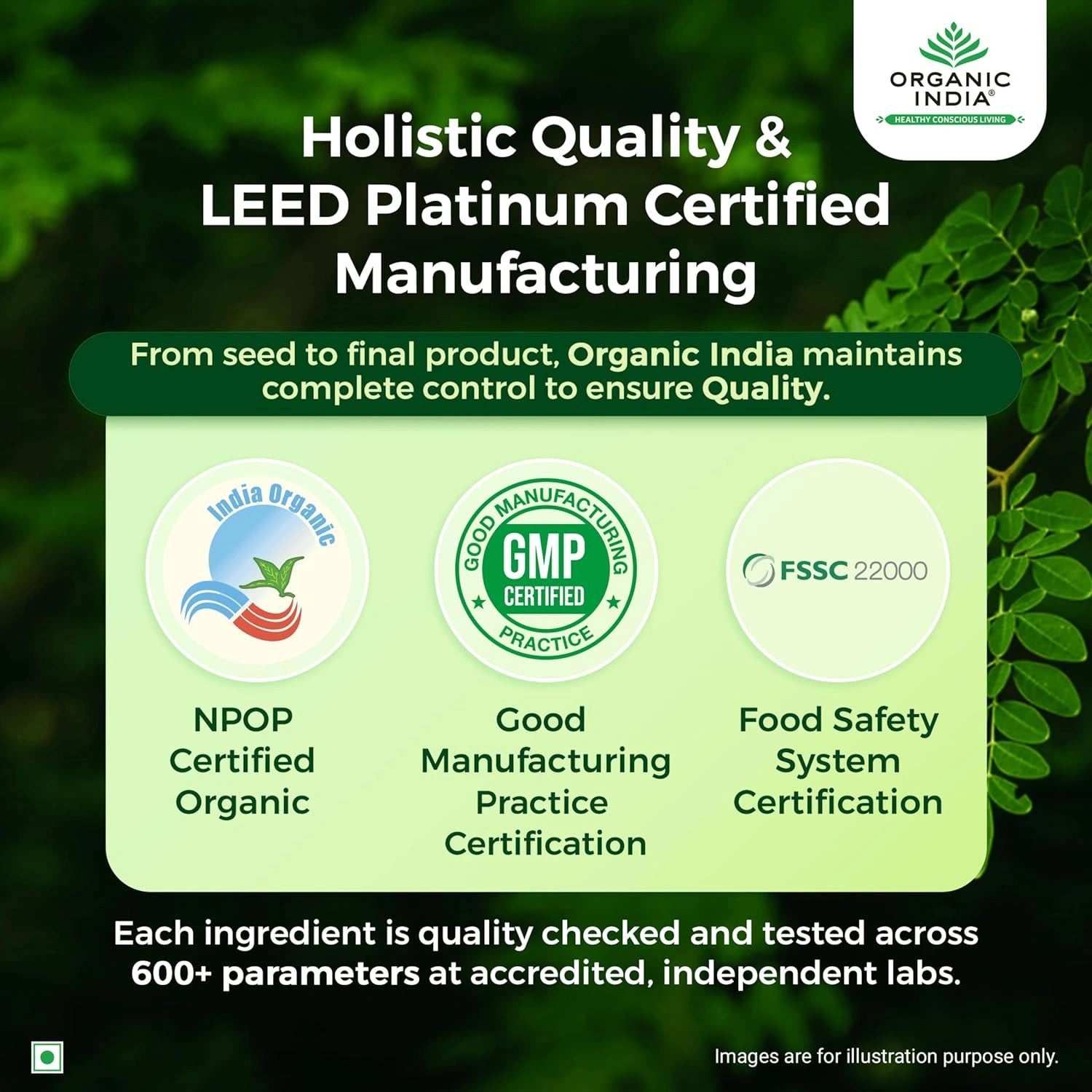 OrganicIndiaMoringa_Img6