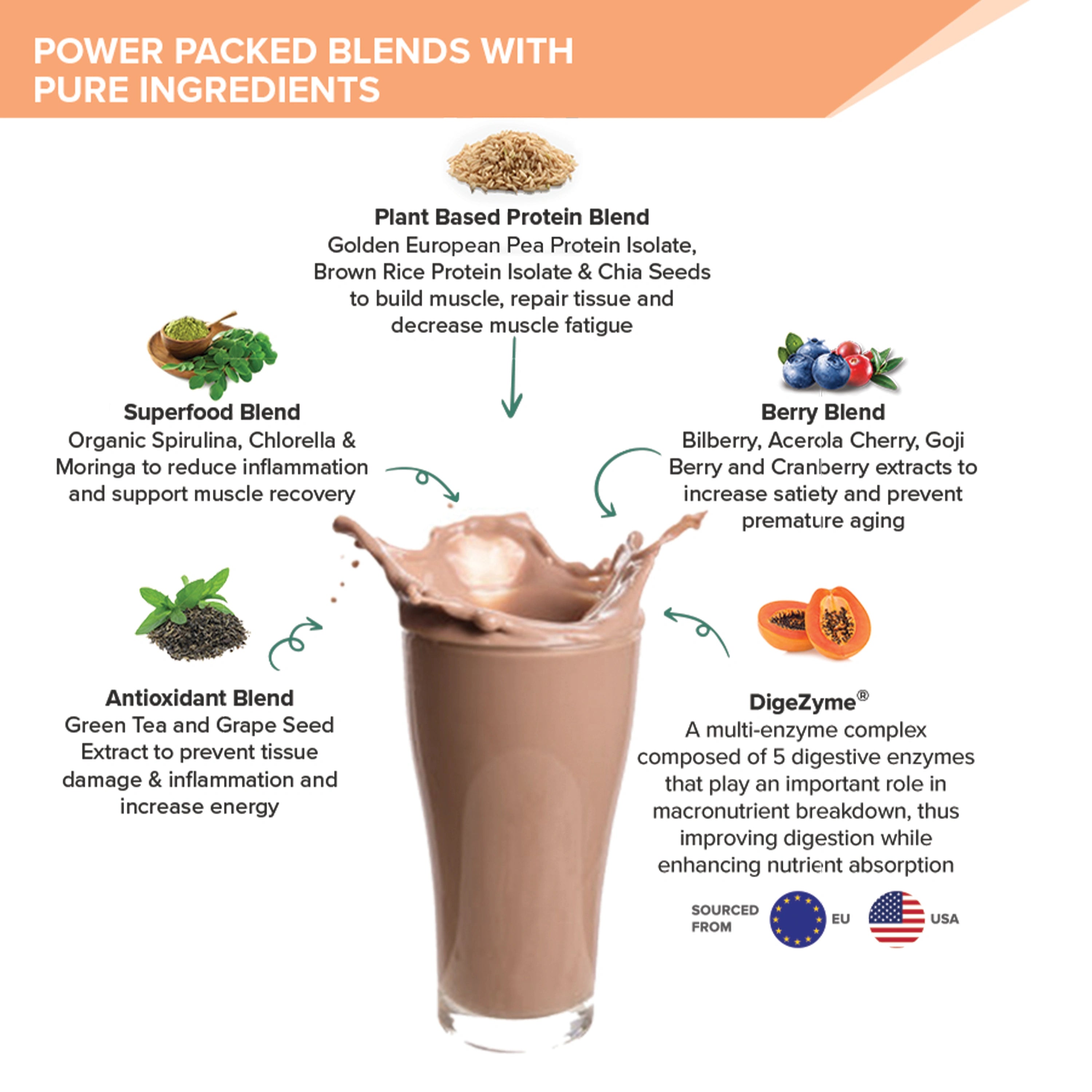 Wellbeing Nutrition Dark Chocolate Hazelnut Protein_4