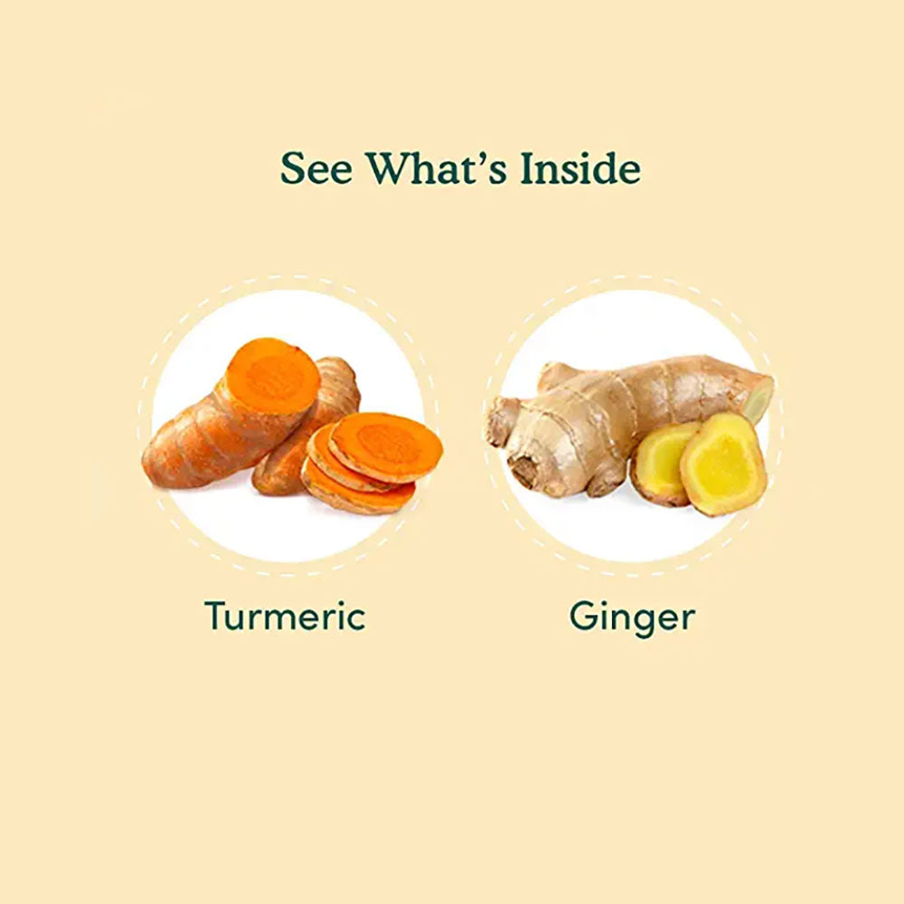 vahdam turmeric ginger_img3